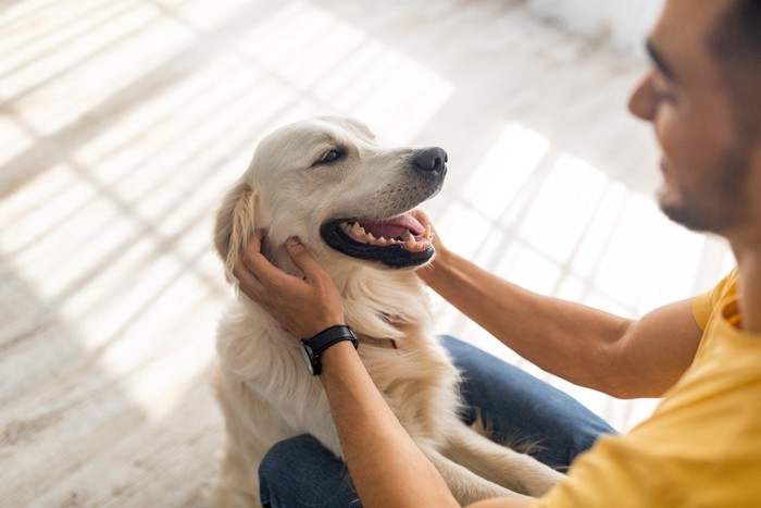 笑顔で膝に手をのせる犬