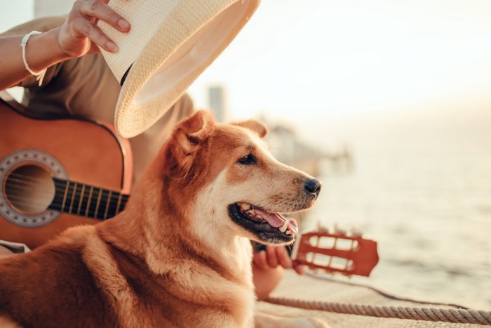 ギターを弾く人と犬