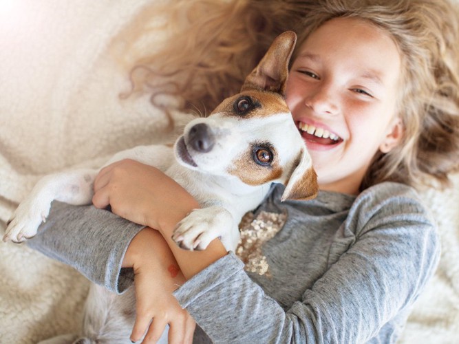 犬と子供