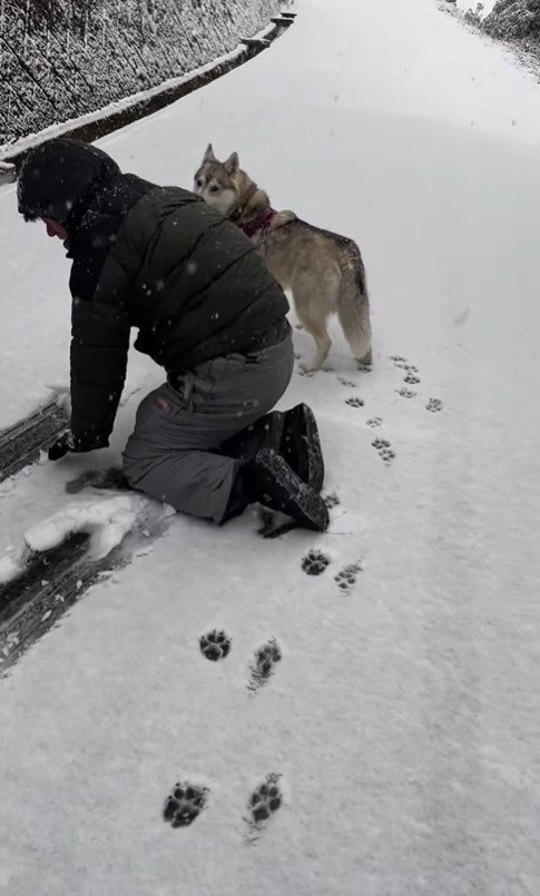 初雪ではしゃぎすぎた結果7