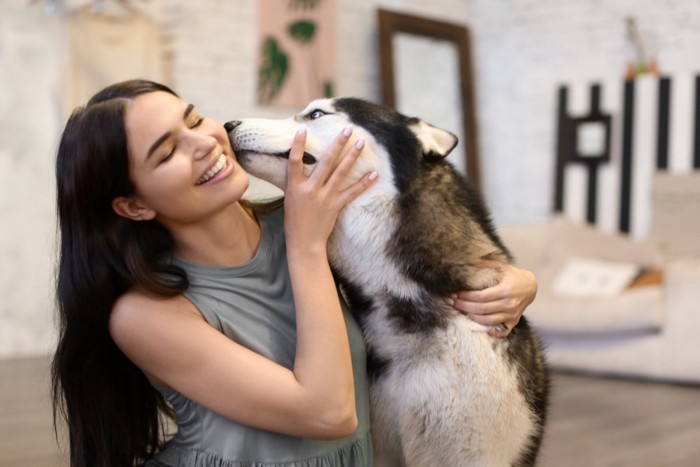 女性にキスするハスキー