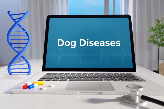 「犬の病気」と表示されたPCとDNA模型