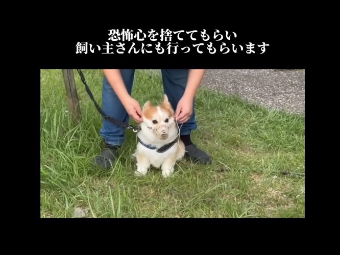 飼い主さんにもレクチャー