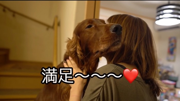 女性に抱きしめられる犬