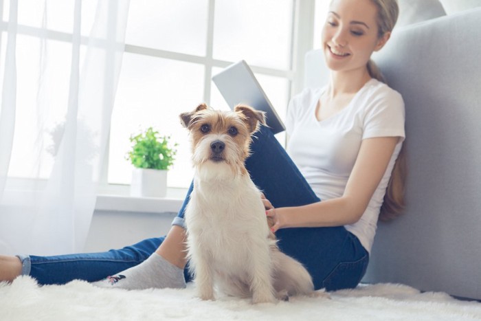 笑顔の女性に撫でられている犬