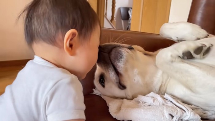 ユウちゃんに顔を近づけるサンちゃん