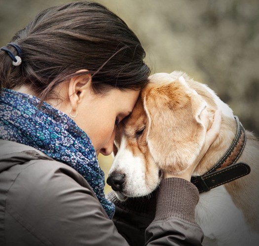 犬と額を合わせる人