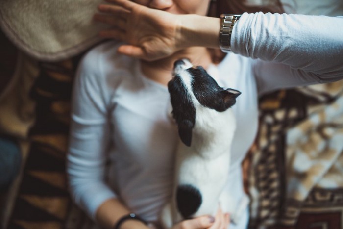 犬のキスを手で防ぐ女性