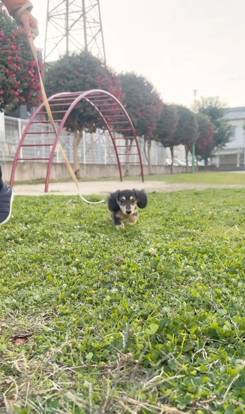 公園もちょっとだけ挑戦！