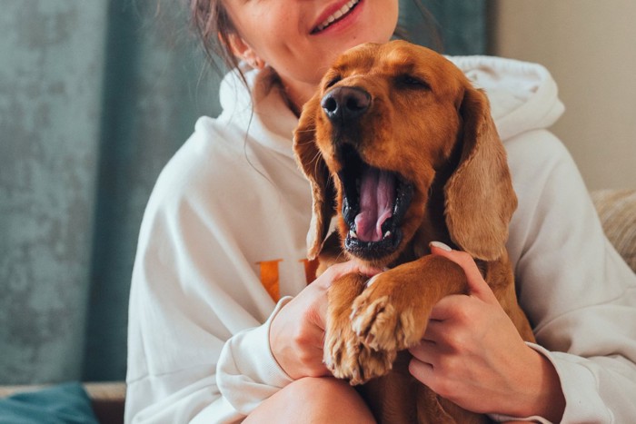 抱っこする女性とあくびをする犬