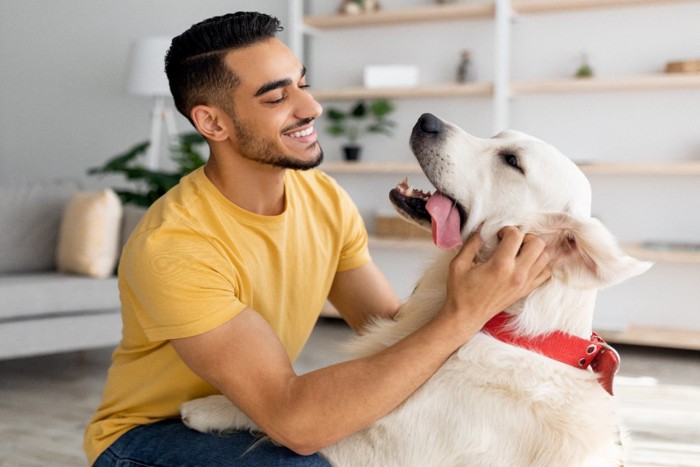 撫でられて嬉しそうな犬