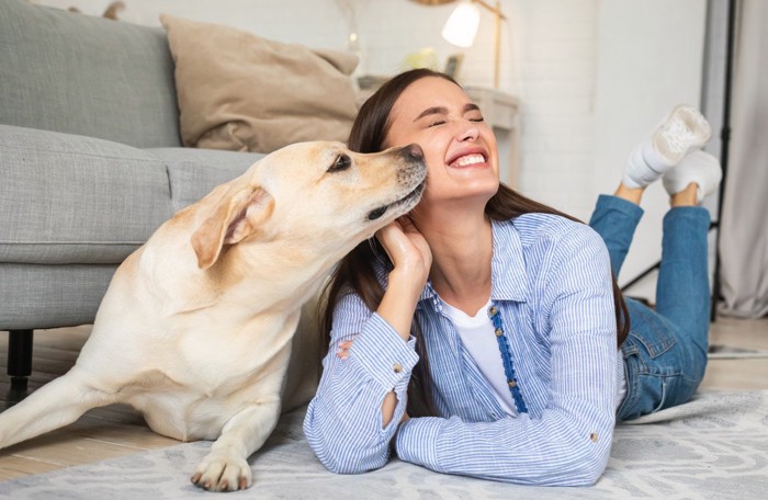 顔のにおいをかぐ犬