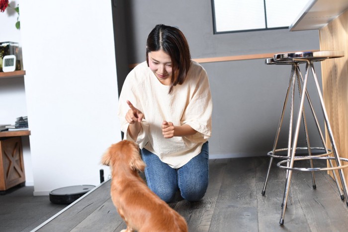 犬のしつけを行う飼い主