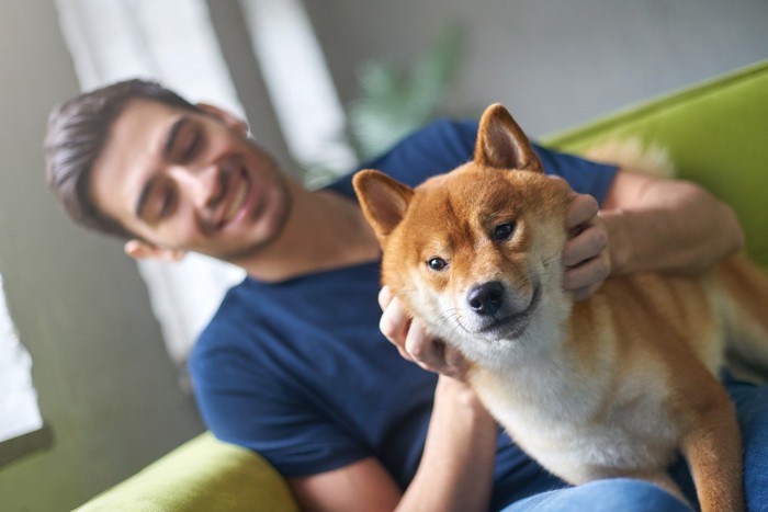 男性と柴犬