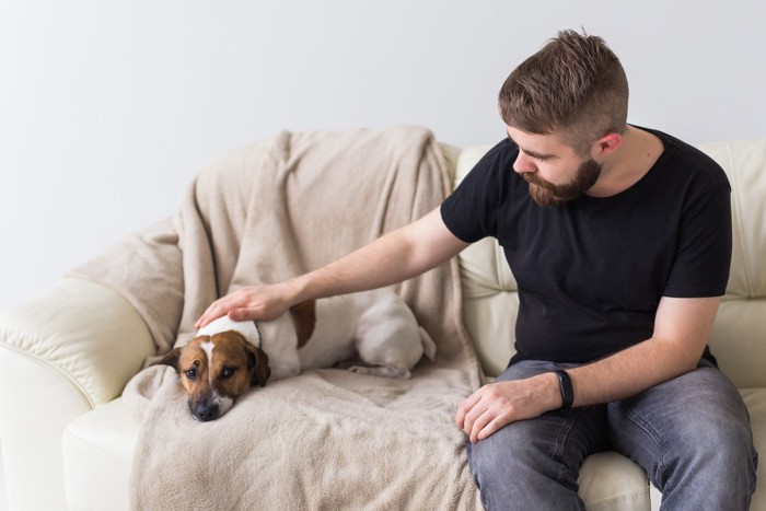 黒いTシャツの男性と犬