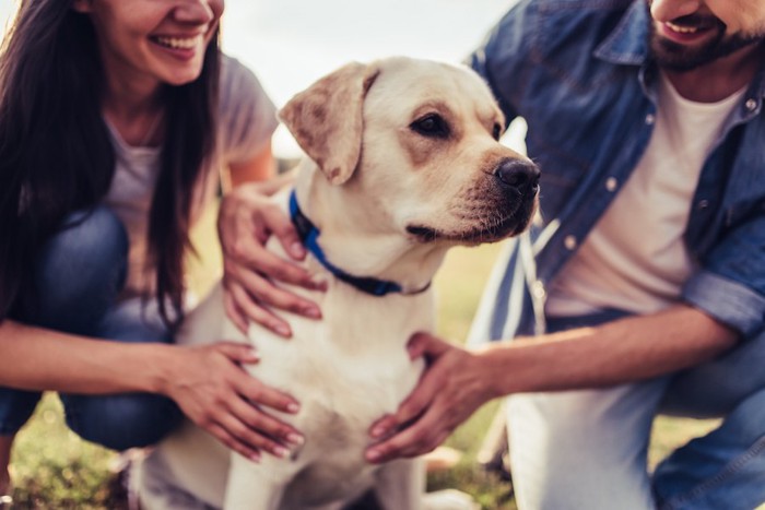 犬を可愛がっている男女