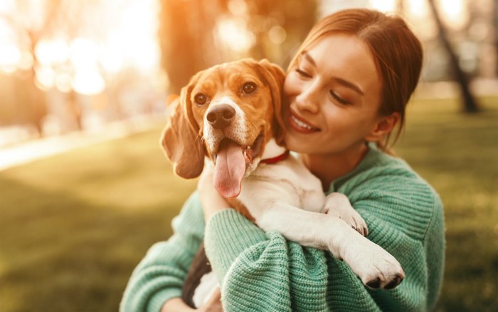 ビーグル犬を抱っこする女性