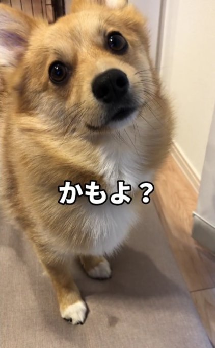 悪くないかも？