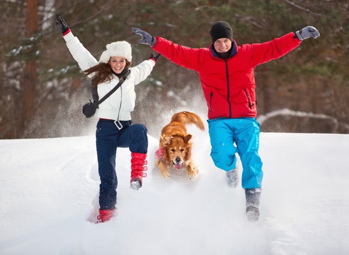 雪の中で遊ぶカップルと犬