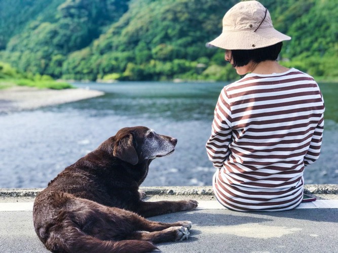 飼い主と老犬