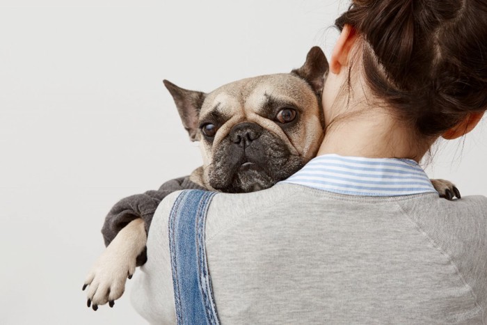 抱っこされ迷惑そうな顔の犬