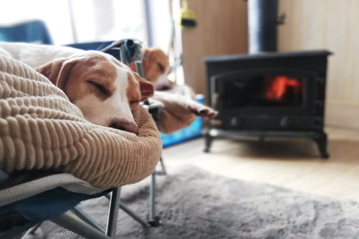 薪ストーブの前で眠る2匹の犬