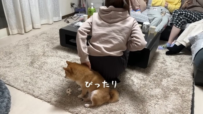 うにちゃんは控えめに参加♡