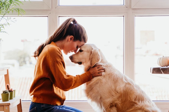 額を寄せ合う犬と女性