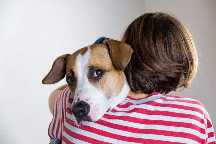 犬を抱きしめる人と不安そうな犬