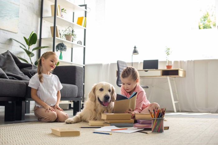 子供の遊びに付き合う犬