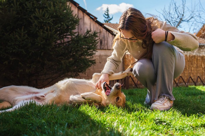 庭で女性と遊ぶ犬