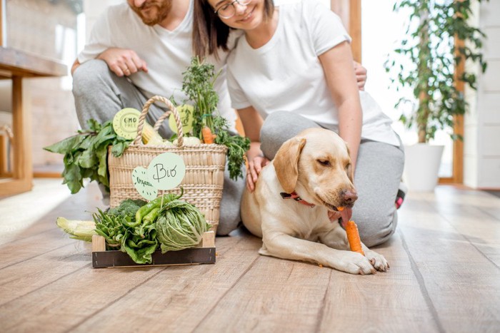 いろんな野菜を食べる犬