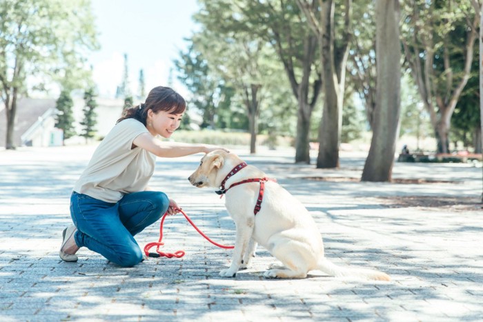 散歩中に犬を褒める