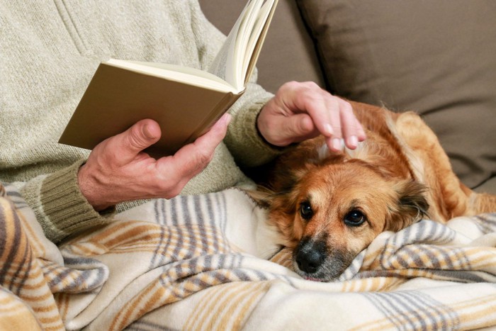 読書する男性と犬