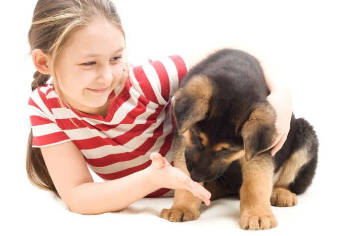 少女のてのにおいを嗅ぐ子犬