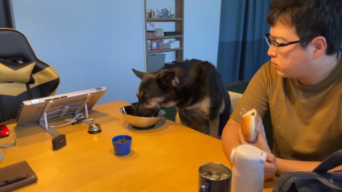 ごはんを食べる維桜ちゃん