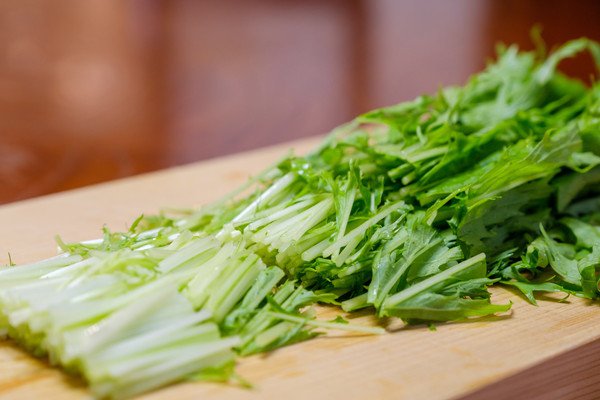 犬に水菜を与える時の注意点