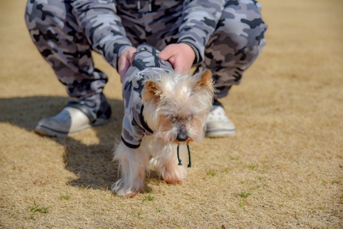 お揃いの服を着た男性と犬