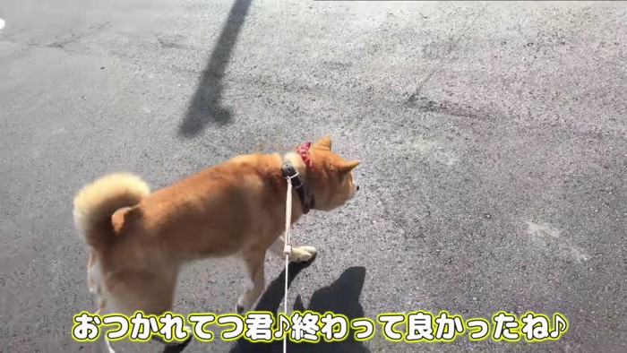 帰りはゴキゲンなてつくん