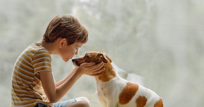 見つめ合ってる子供と犬