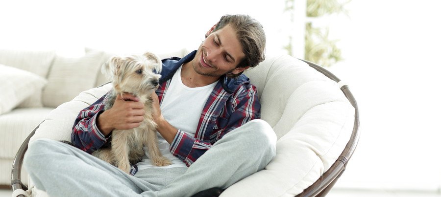 愛犬を膝の上に乗せる男性