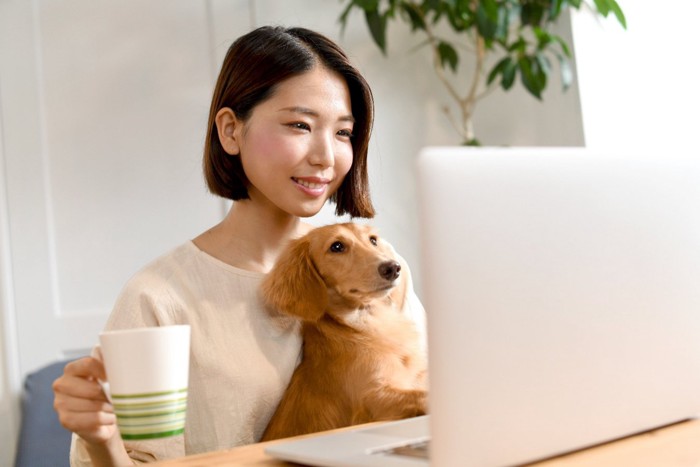 パソコンを使う女性の膝の上に座る犬