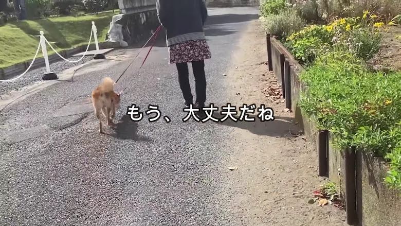 新しい生活が始まります