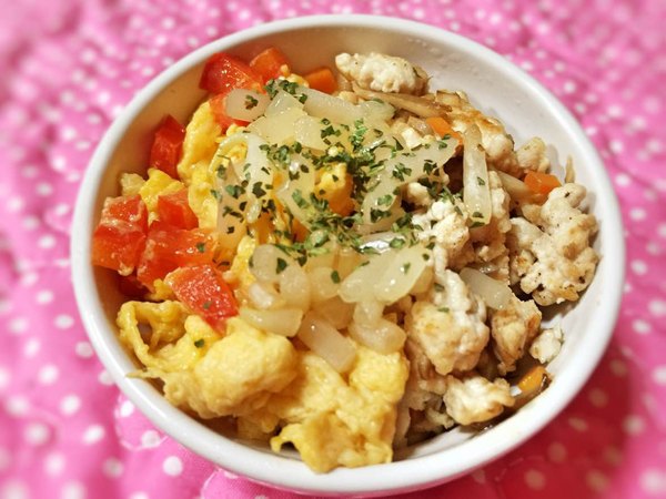 二色丼風ワンちゃんご飯♪