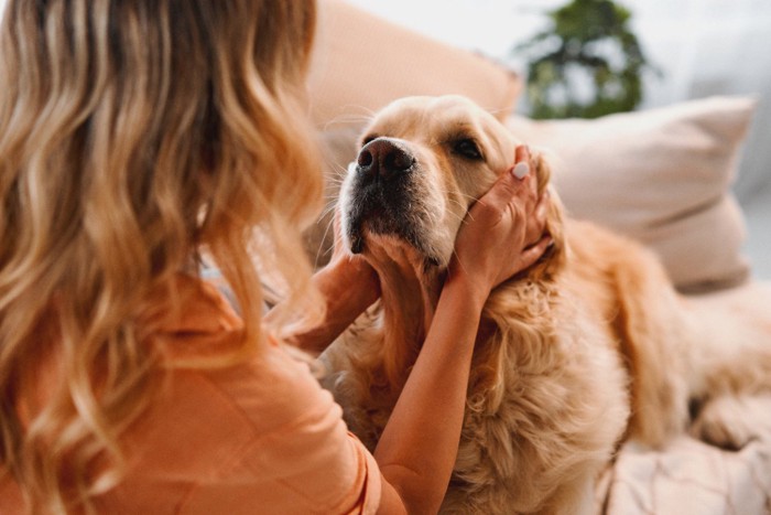 犬を撫でる女性