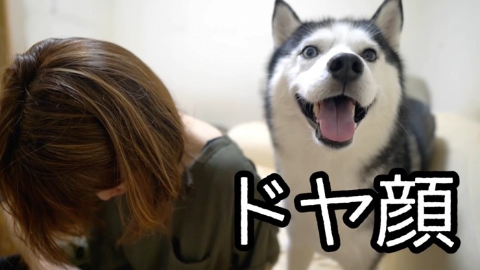 下を向く女性と犬