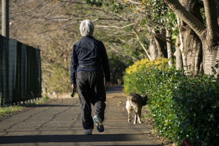 お散歩する人と犬の後ろ姿