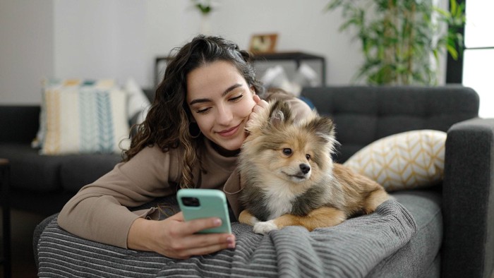 スマホを見る女性と一緒にくつろぐ犬